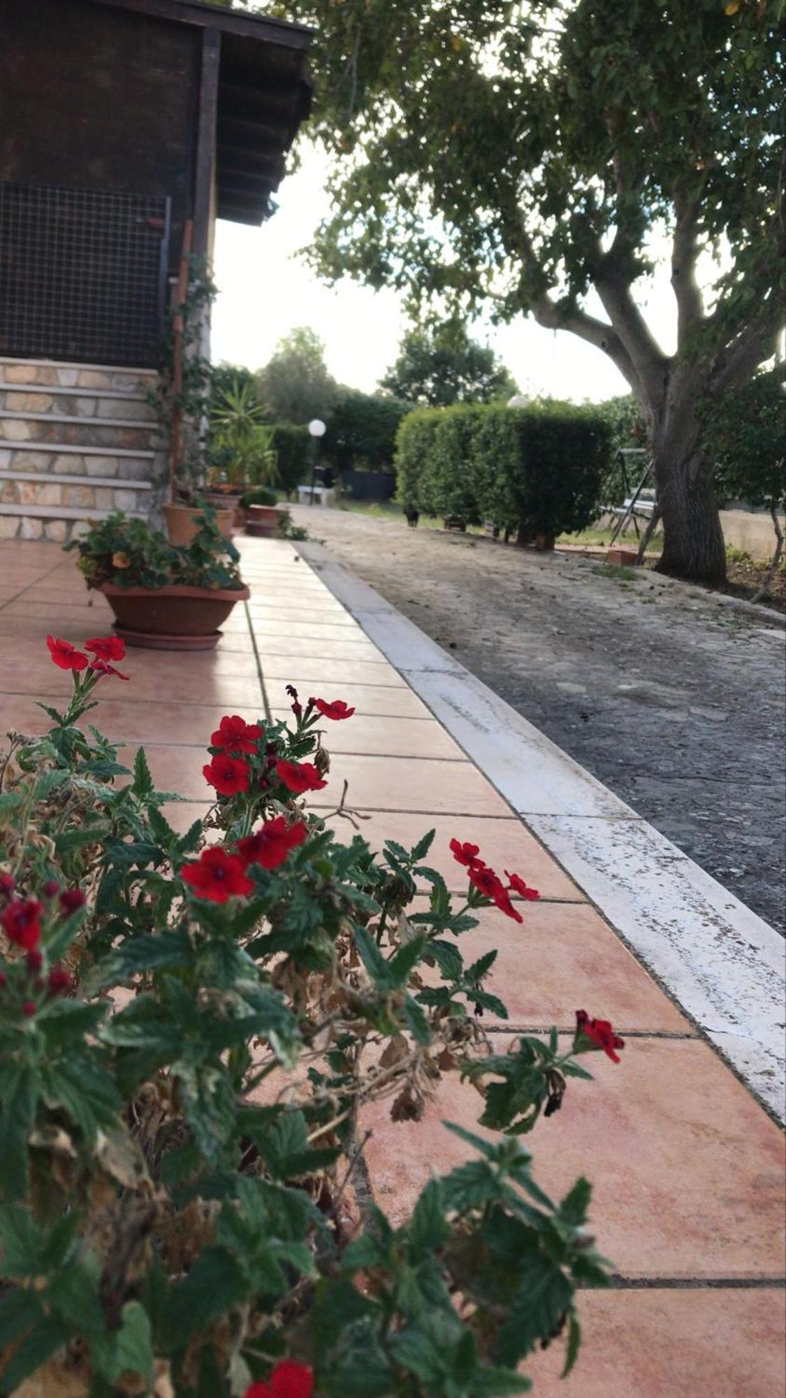 Villa Marida Gioia Del Colle Exterior foto
